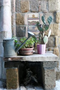 Corte sull'aranceto