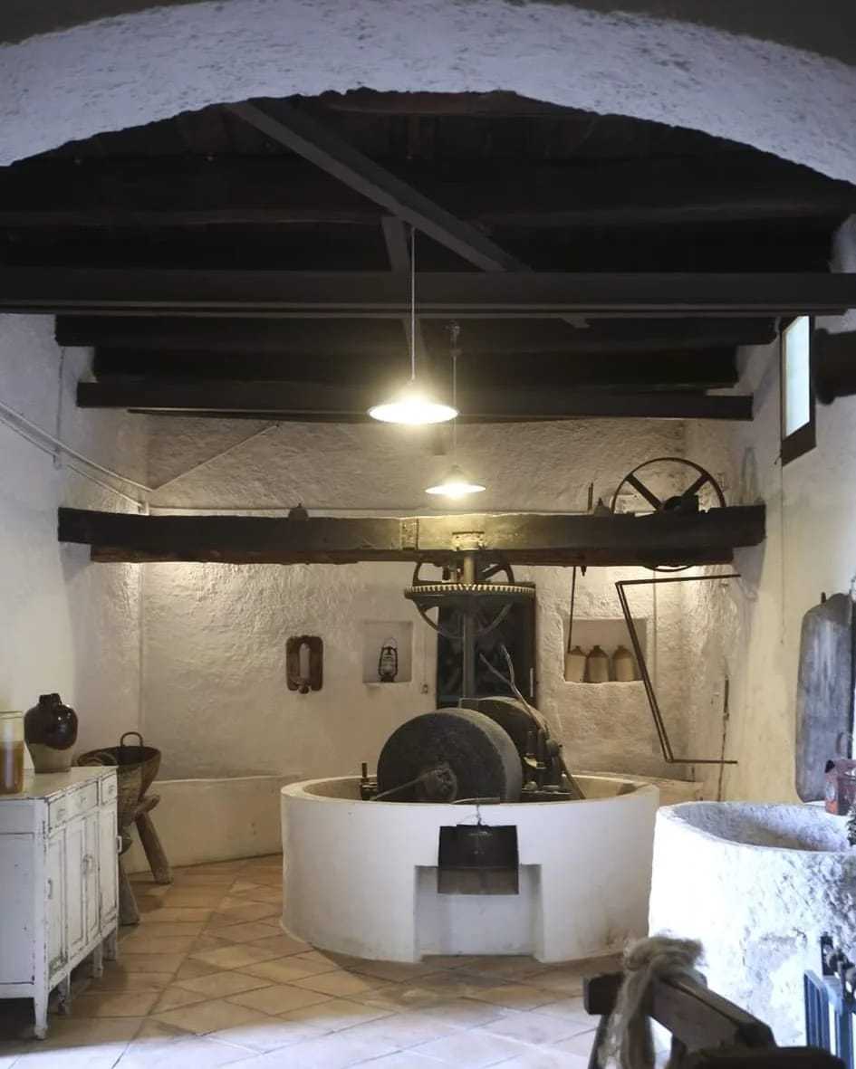 WhatsApp-Image-2025-10-18-at-09.04.50-2