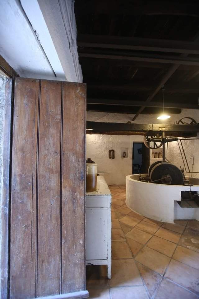 WhatsApp-Image-2025-10-18-at-09.07.41-5